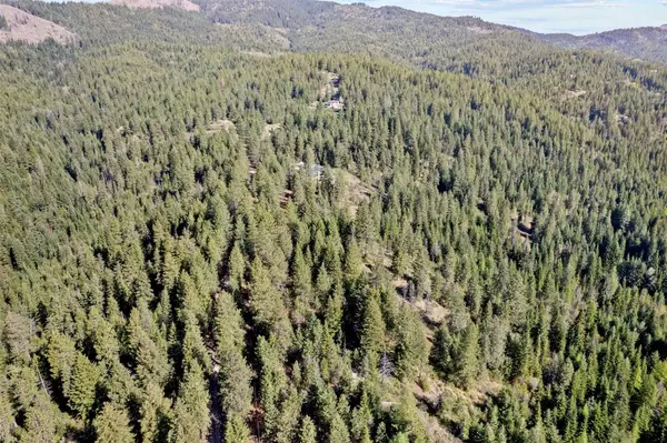Rockford, WA 99030,12703 S Alpine Fern Ln