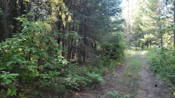 Newport, WA 99156,641 Overlook Dr