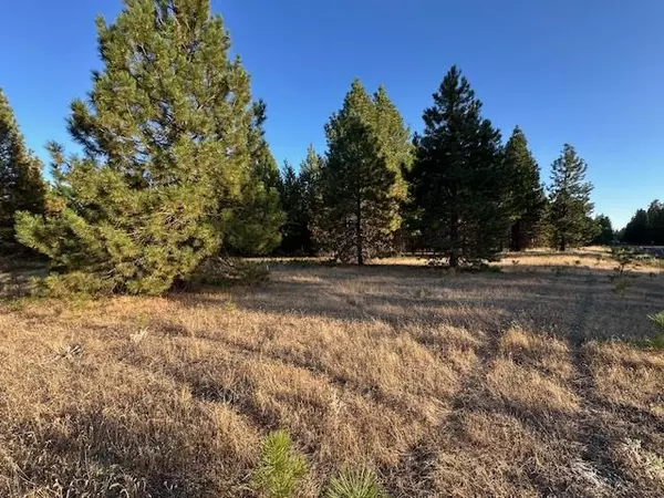 Ford, WA 99013,5335 B 231 Hwy