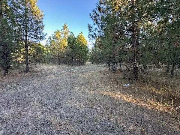 Ford, WA 99013,5335 B 231 Hwy