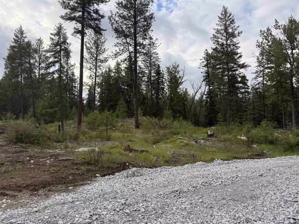 Newport, WA 99156,Nkn Lot 4 Veit Rd