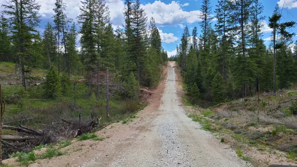 Springdale, WA 99173,5249 D Olinger Rd