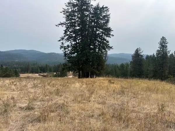 Mead, WA 99021,XXX N Holcomb Rd Rd