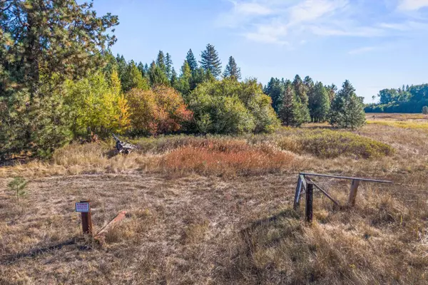 Deer Park, WA 99006,48XX S Swenson Rd
