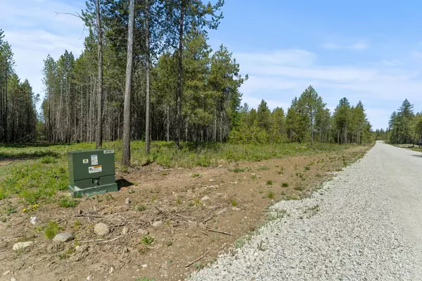 Springdale, WA 99173,4090 Black Pine WAY