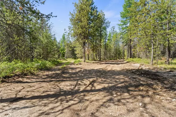 Springdale, WA 99173,4026 Black Pine WAY