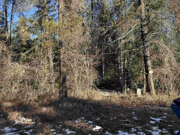 Cusick, WA 99119,311 E Joyner Dr