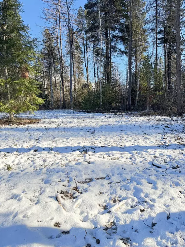 Cusick, WA 99119,311 E Joyner Dr