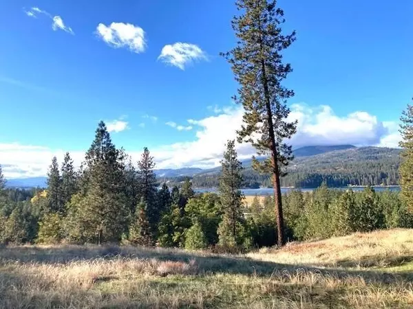 Kettle Falls, WA 99141,1353 Lake Roosevelt WAY