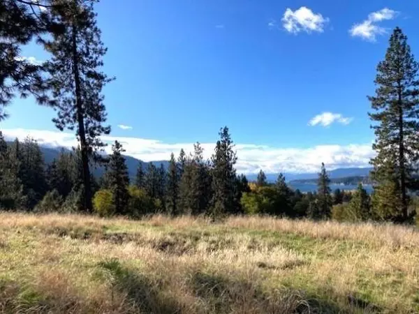 Kettle Falls, WA 99141,1353 Lake Roosevelt WAY