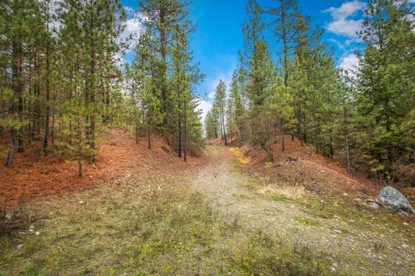 Springdale, WA 99173,4425 Stonebrook WAY