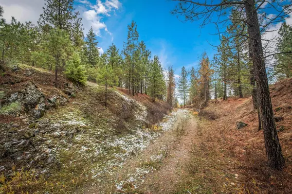 Springdale, WA 99173,4425 Stonebrook WAY