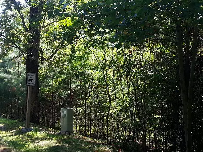 13A Greystone RD, Talking Rock, GA 30175