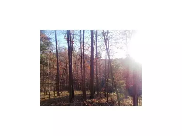 Dawsonville, GA 30534,lot 6 Riverwalk DR