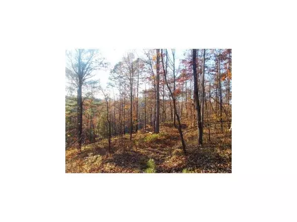 Dawsonville, GA 30534,lot 6 Riverwalk DR