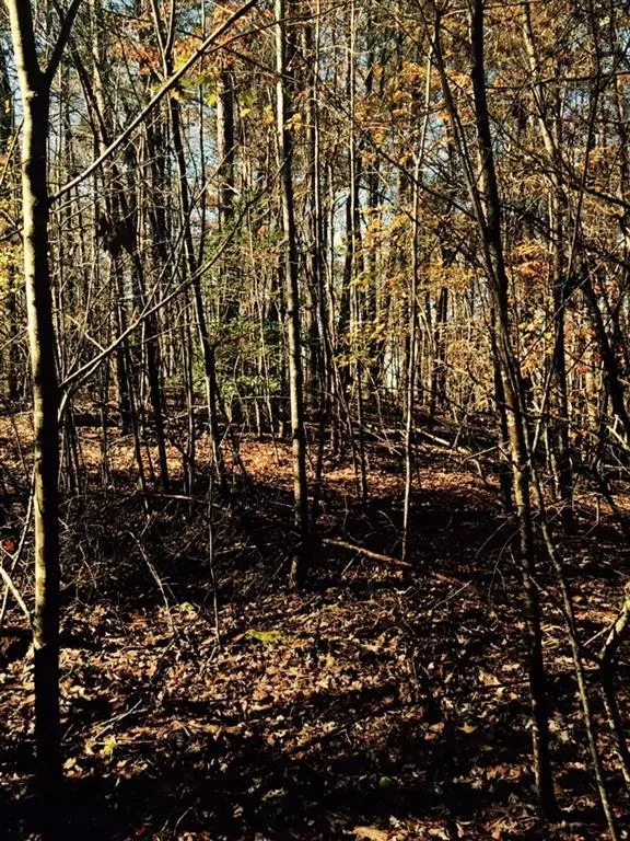 Dahlonega, GA 30533,Lot 0 Dohiyi Valley RD