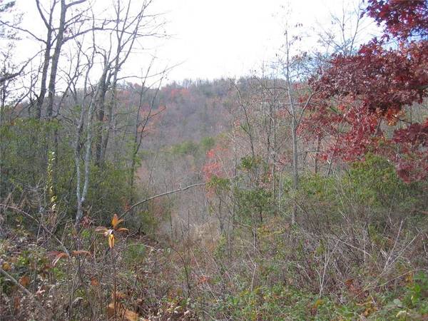 0 Pettit Ridge RD, Ellijay, GA 30536