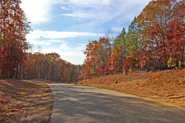 Dallas, GA 30132,LOT 2 Elsberry Ridge DR