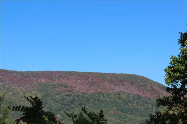 LT 65 Buena Vista DR, Ellijay, GA 30536