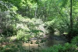 Dahlonega, GA 30533,Lot 46 Nimblewill Creek RD