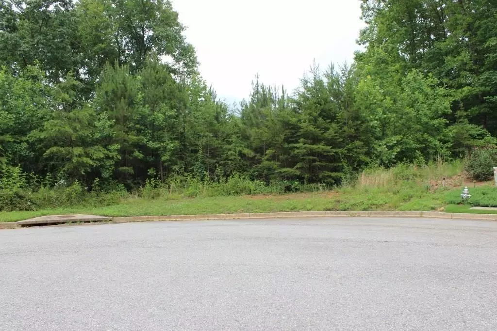 Dawsonville, GA 30534,149 Black Oak Lane