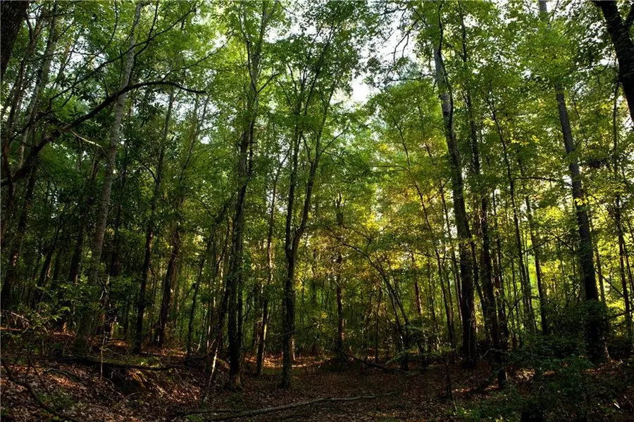 0 Whiteside RD, Chattahoochee Hills, GA 30268