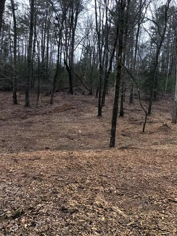 Dahlonega, GA 30533,Lot 4 Corbin LN