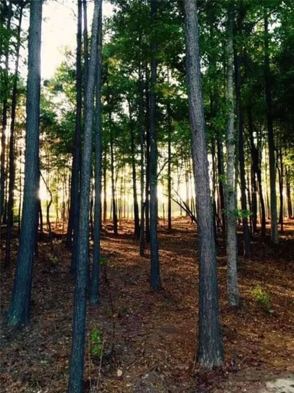 8500 Serenbe RD, Chattahoochee Hills, GA 30268