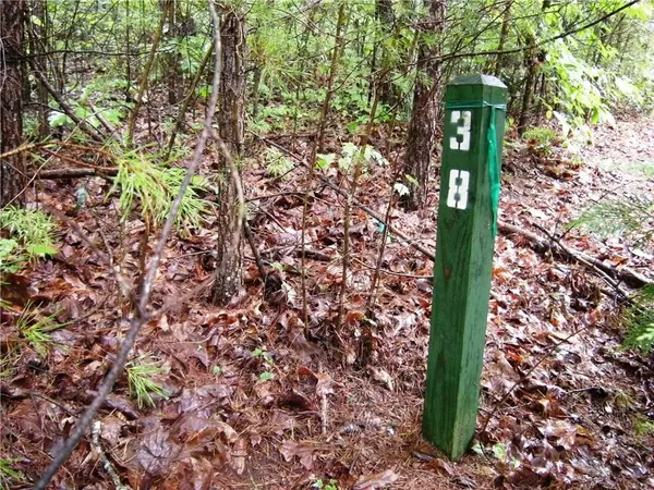 Dawsonville, GA 30534,Lot 38 Nuckolls LN