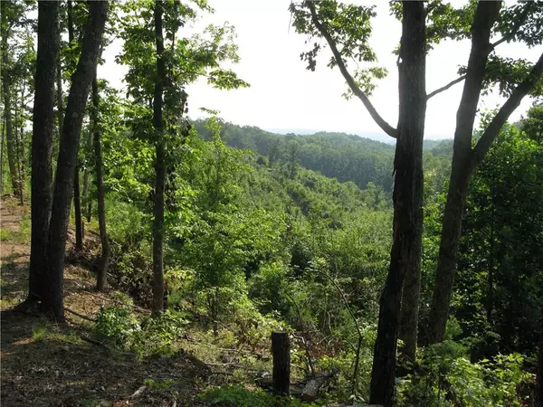 Cedartown, GA 30125,0 Treat Mountain RD