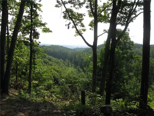 Cedartown, GA 30125,0 Treat Mountain RD