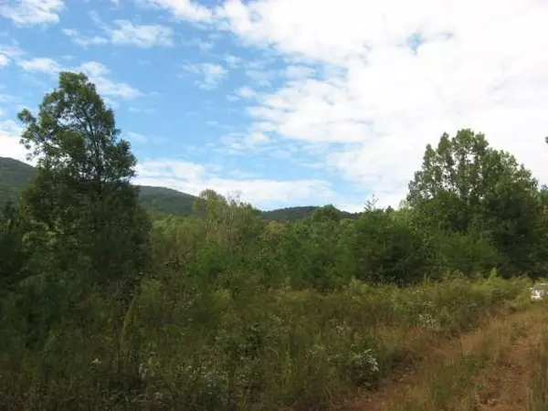 Ellijay, GA 30536,349 Ralston Creek TRL