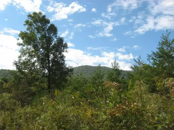 Ellijay, GA 30536,349 Ralston Creek TRL