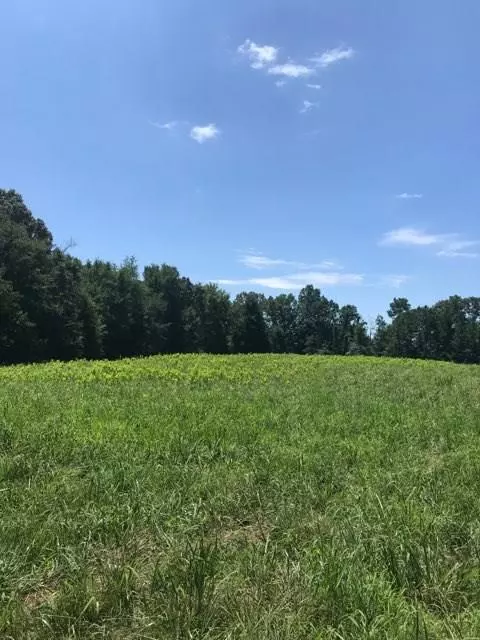 Adairsville, GA 30103,000 Trimble Hollow RD