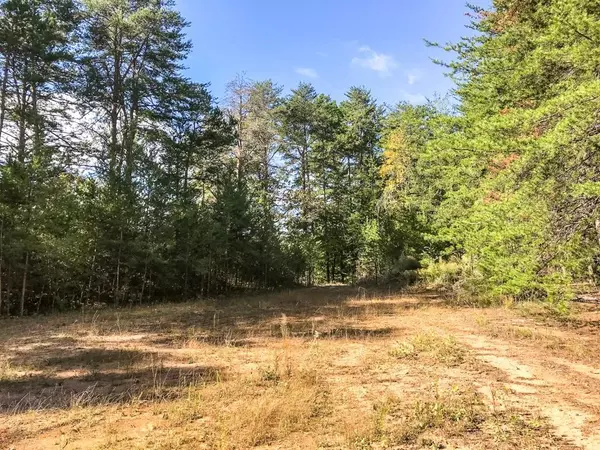 Dahlonega, GA 30533,Lot 61 Chesterra DR