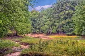 5985 Lanier Heights CIR, Buford, GA 30518