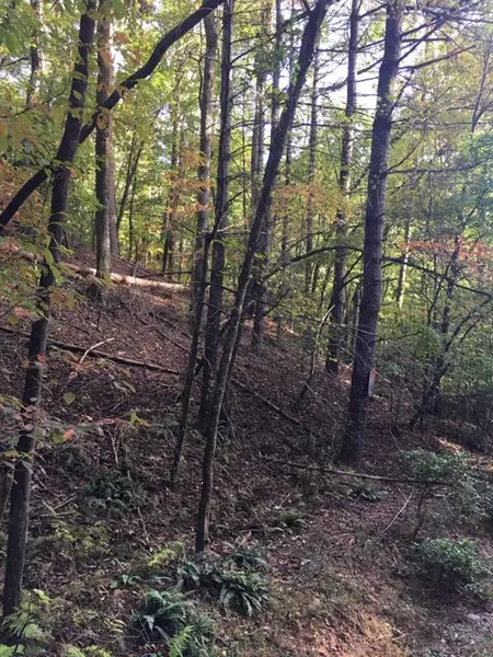 Lt 17 Seneca DR, Ellijay, GA 30540