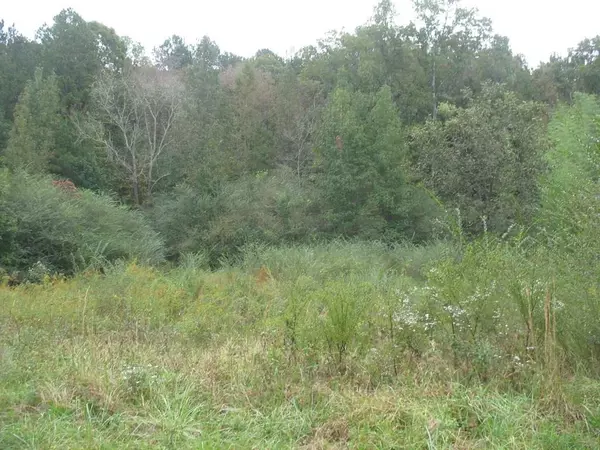 201 Santa Claus RD, Cedartown, GA 30125