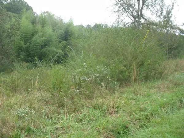 Cedartown, GA 30125,201 Santa Claus RD