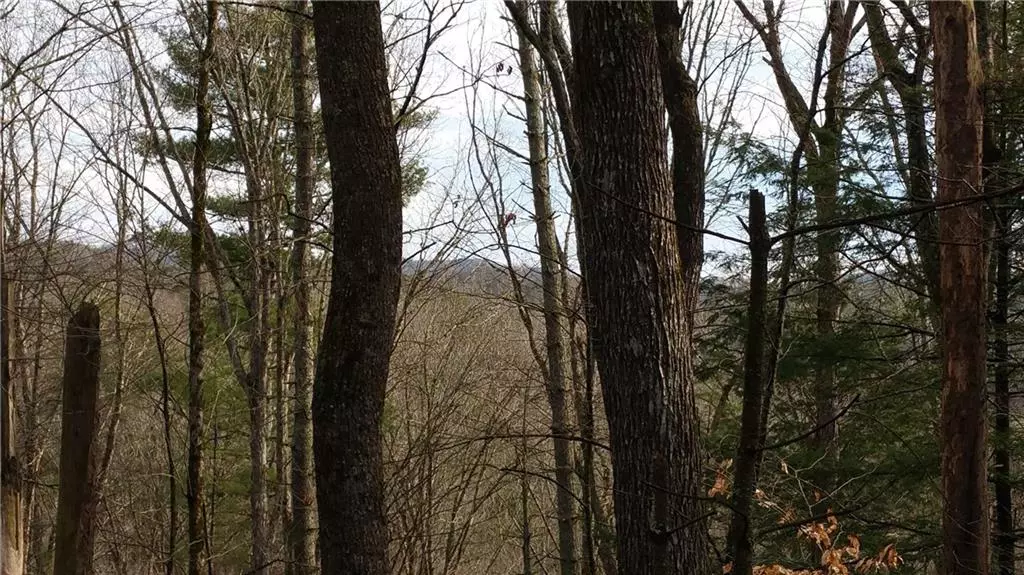 Ellijay, GA 30540,L7 Antler RDG