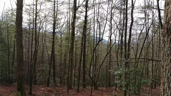 Ellijay, GA 30540,L7 Antler RDG