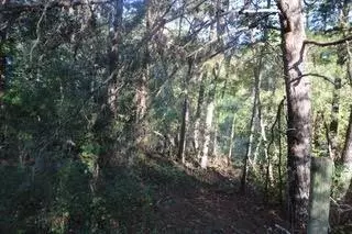 Gainesville, GA 30507,2286 Lee Land RD