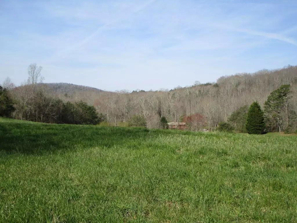 Dahlonega, GA 30533,Tr 3 Porter Springs RD