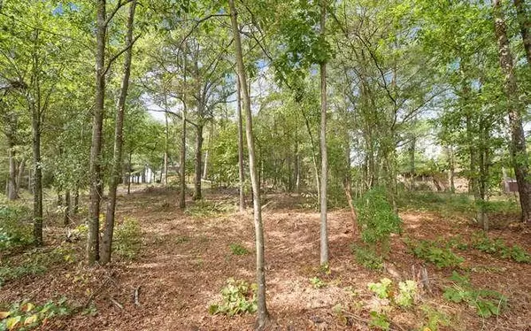 Hartwell, GA 30643,Lot 3 Freeman Drive RD