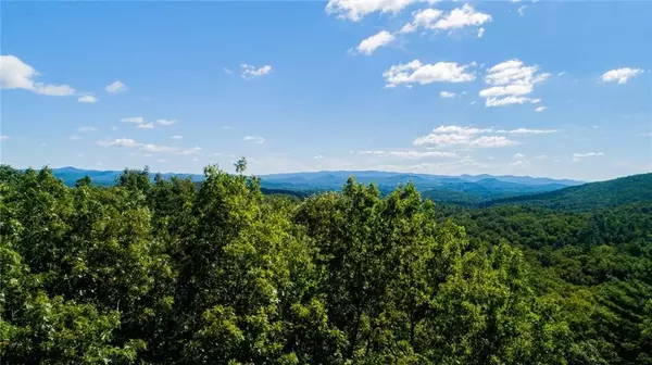 Ellijay, GA 30536,1055 Wolfpen TRL