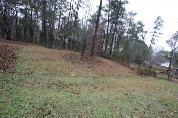 Douglasville, GA 30134,1415 Bent Wind PL