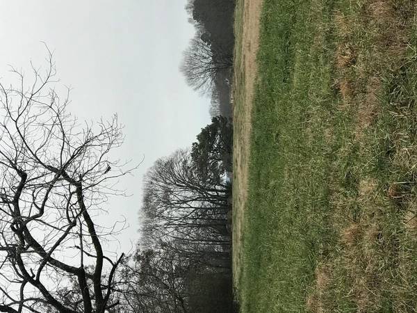 6 AC H D Atha RD, Covington, GA 30014