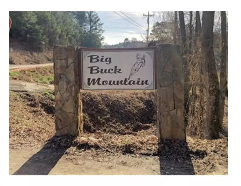 319 Big Buck Mountain, Ellijay, GA 30540