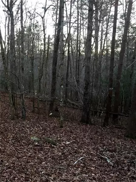 0 Deer Track RD NE, Cornelia, GA 30531