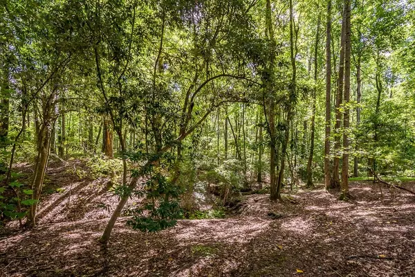 Grayson, GA 30017,2385 Camp Mitchell RD